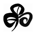Tourism Ireland